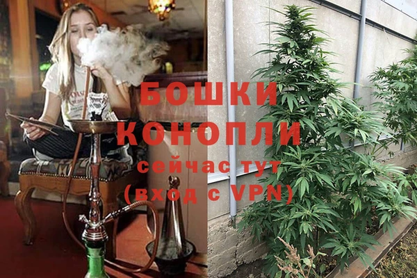 мяу мяу мука Лихославль