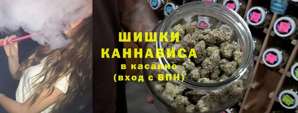 spice Ладушкин