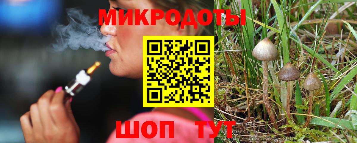 Галлюциногенные грибы Psilocybine cubensis  Галлюциногенные грибы Psilocybe  Мончегорск  Вход с VPN 